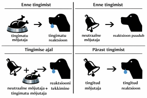 Classical conditioning