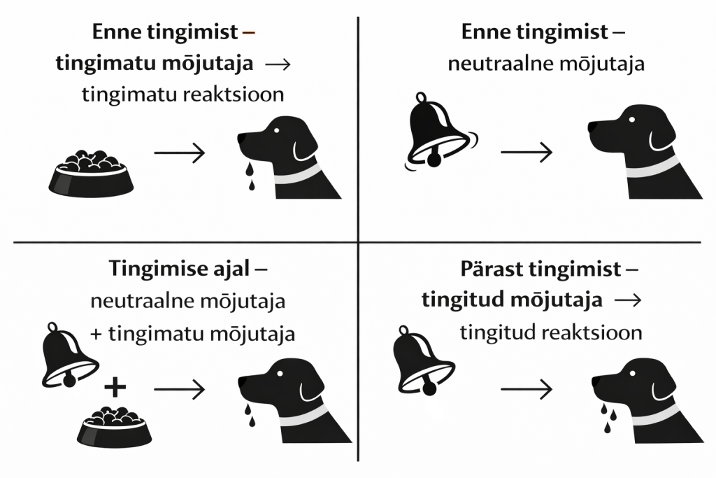 Klassikaline tingimine chatgpt image 7. märts 2026, 12 49 58