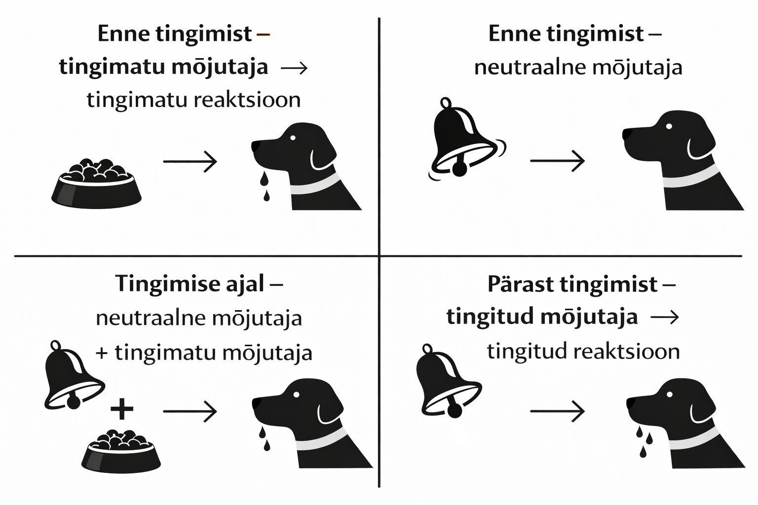 chatgpt image 7. märts 2026, 12 49 58