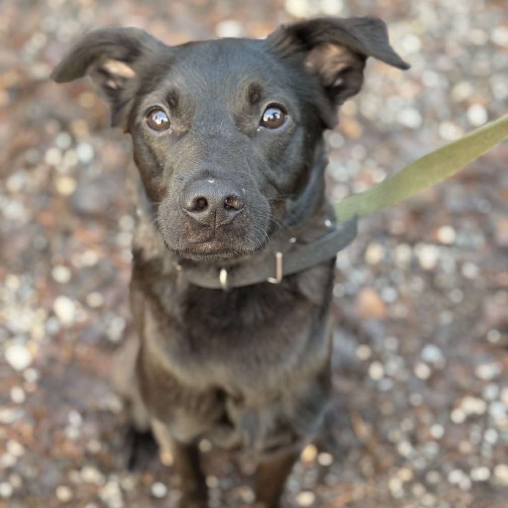 img 6132 vähendatud